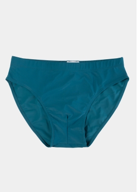 Petrol Men Slip Swimwear