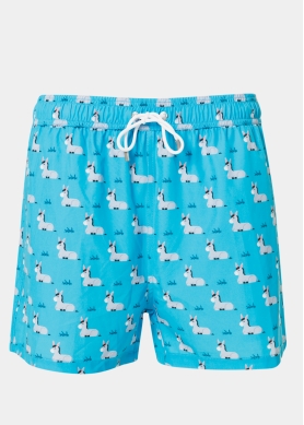Donkeys Classic Men Swimwear