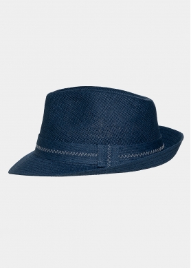 Blue fedora 