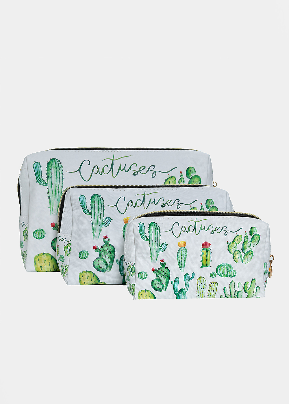 Types of cactuses nécessaire set of three 